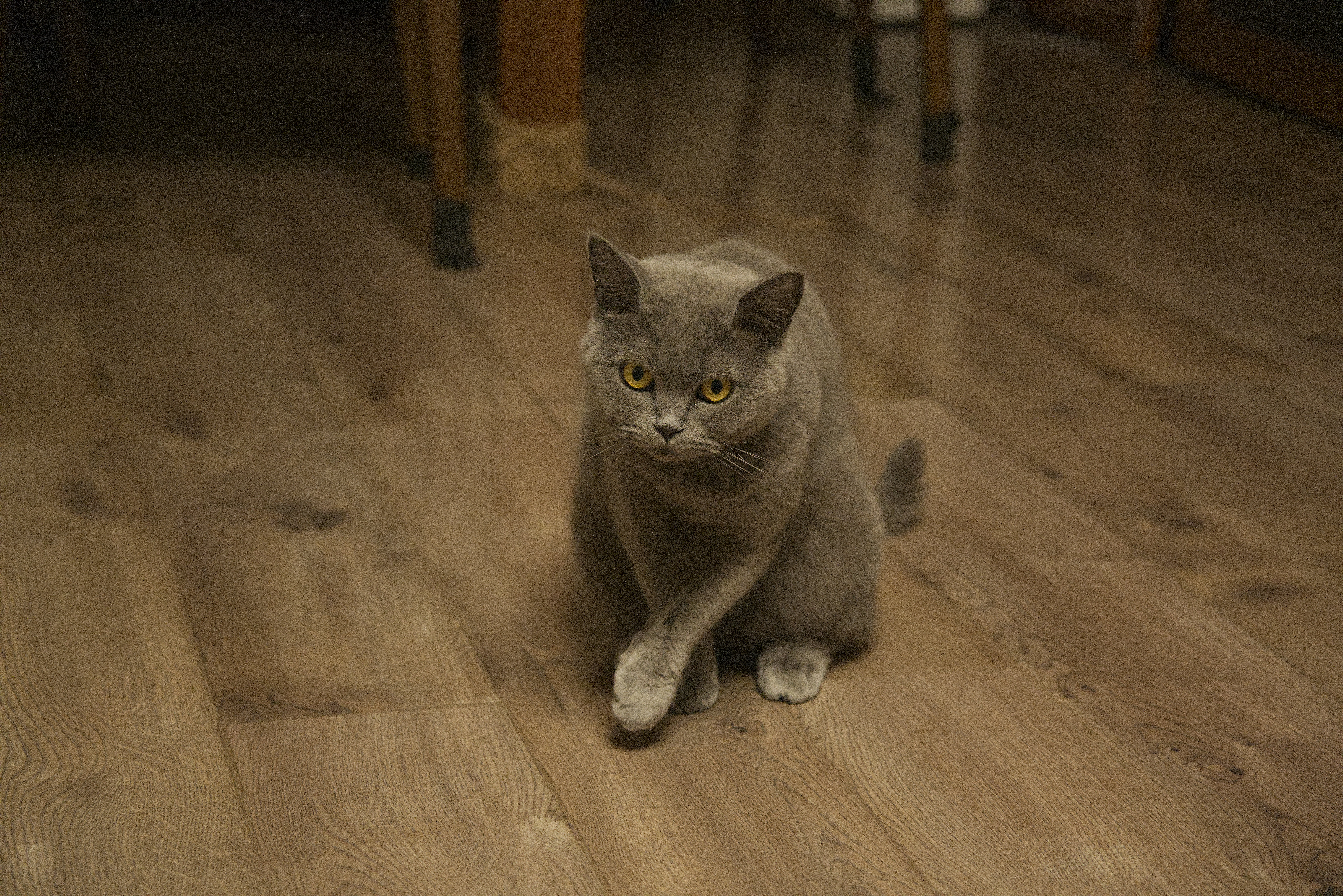 DSC02311