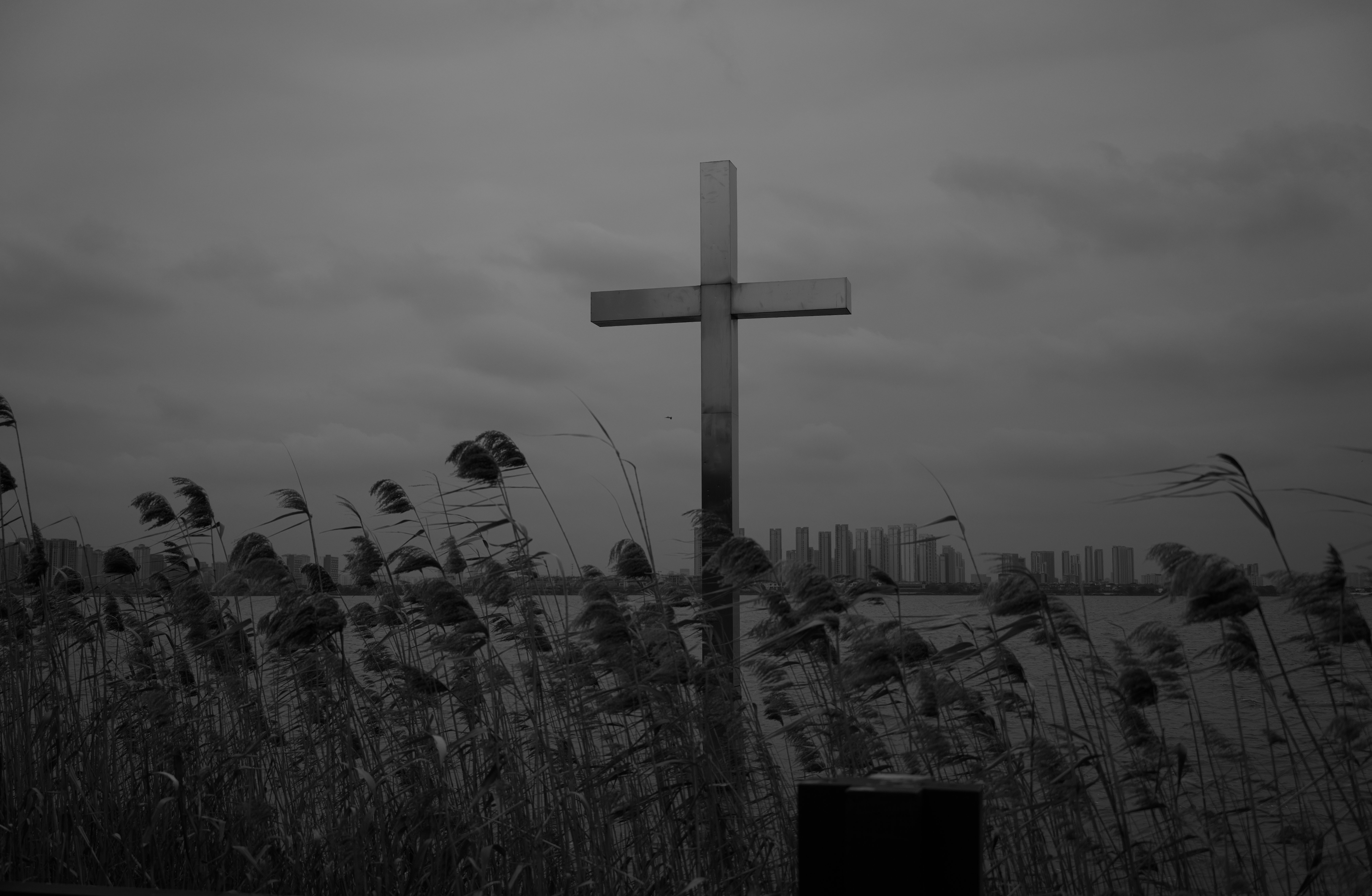 DSC02483.Bw