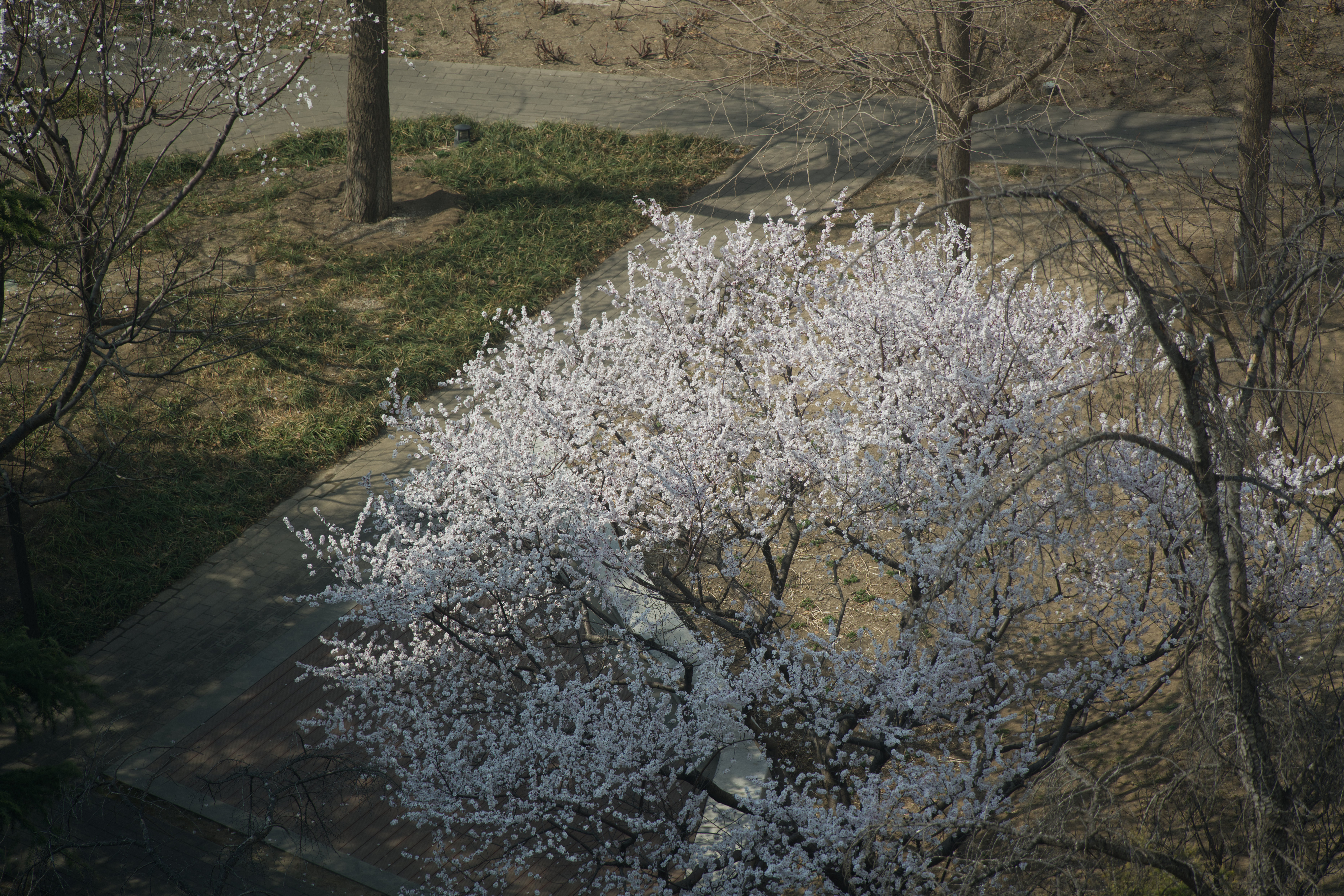 DSC03130