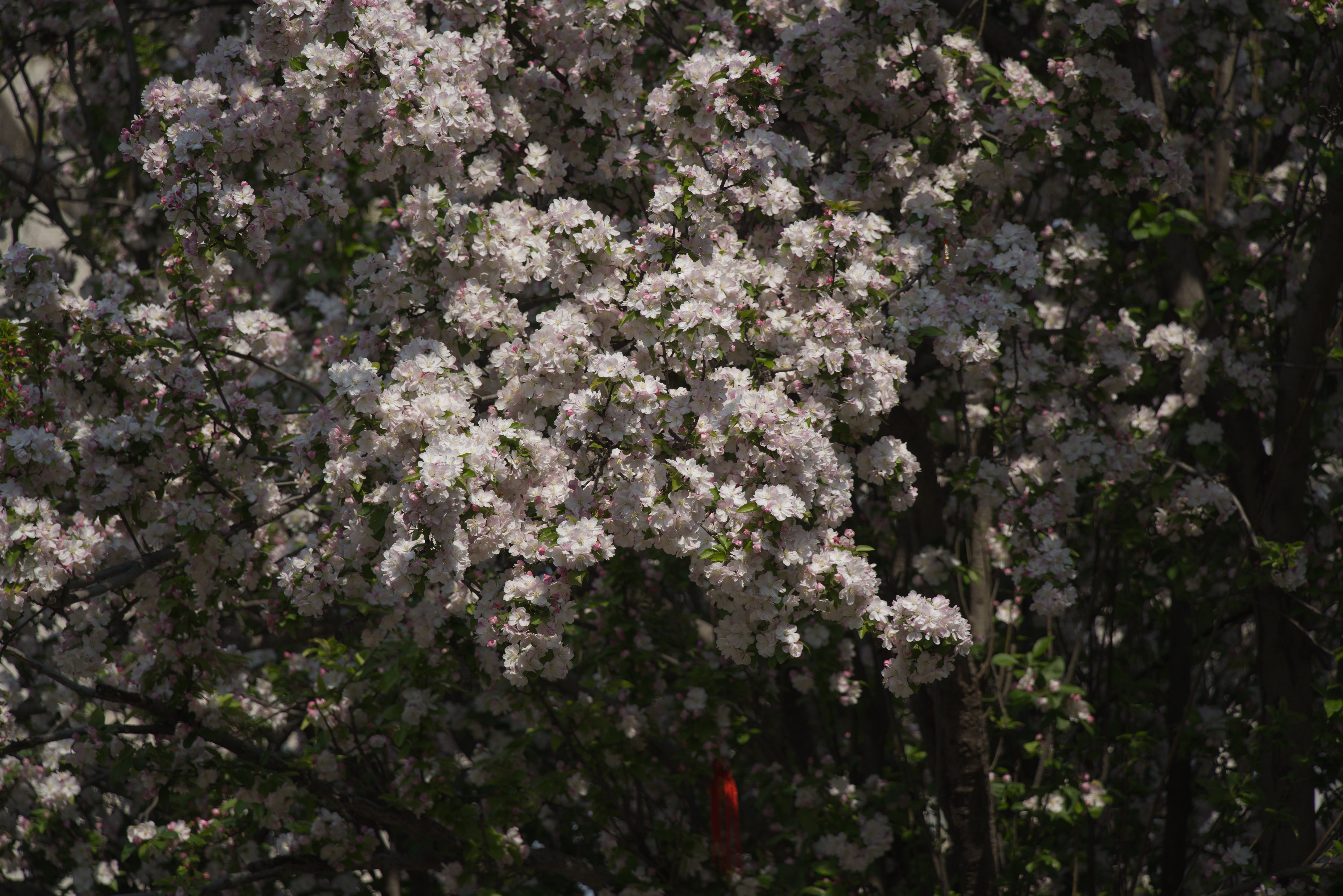 DSC03579