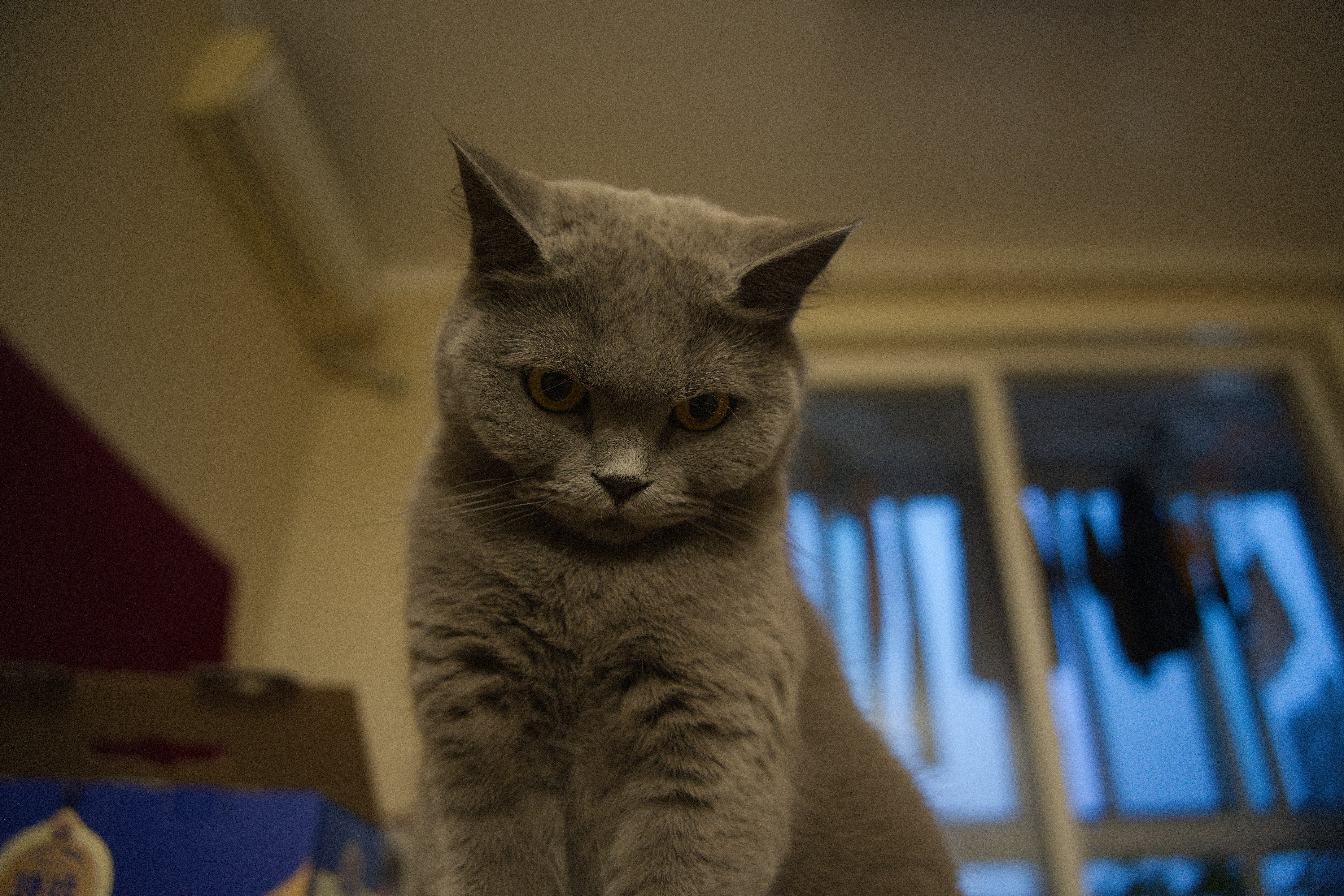 DSC04007