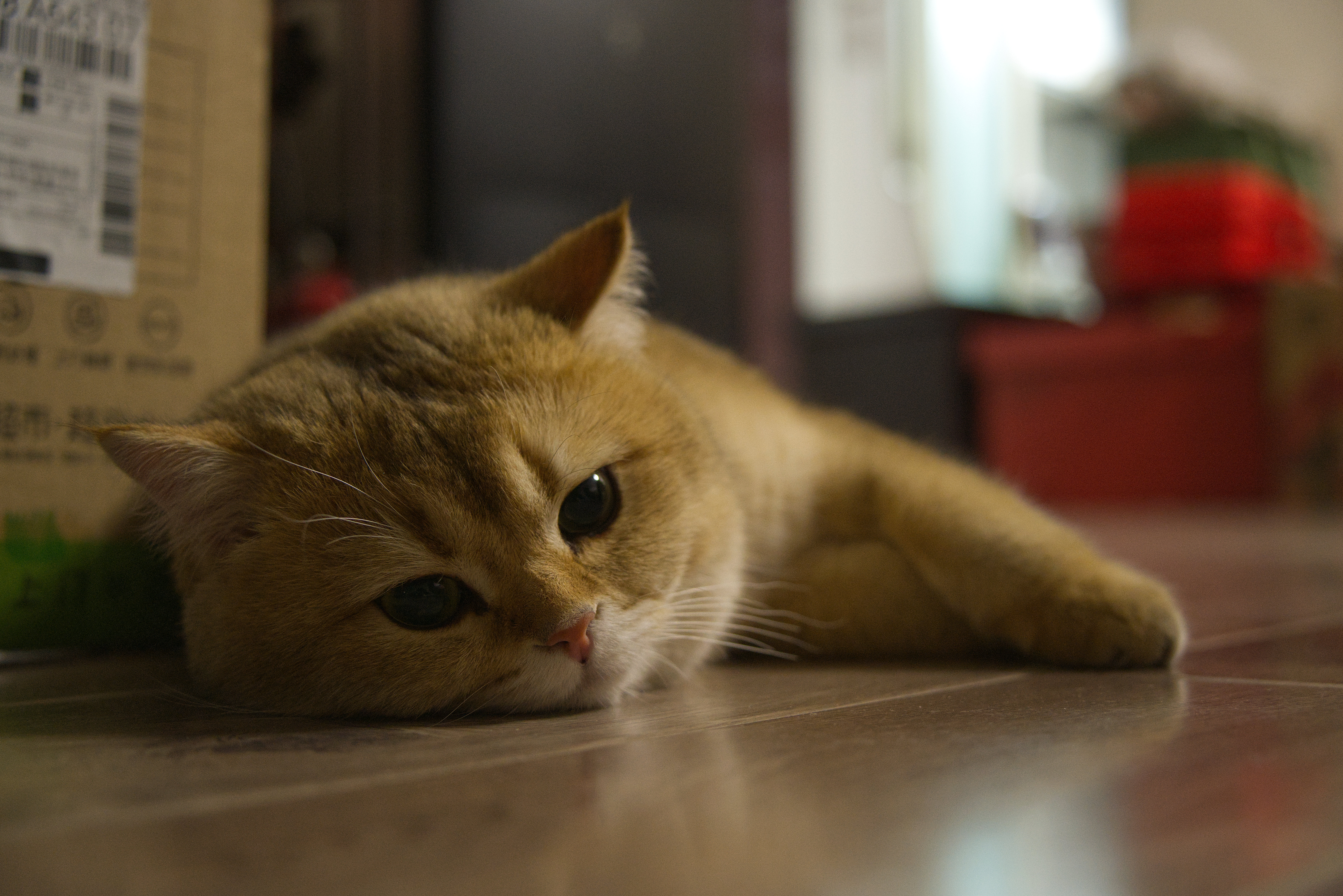 DSC04048