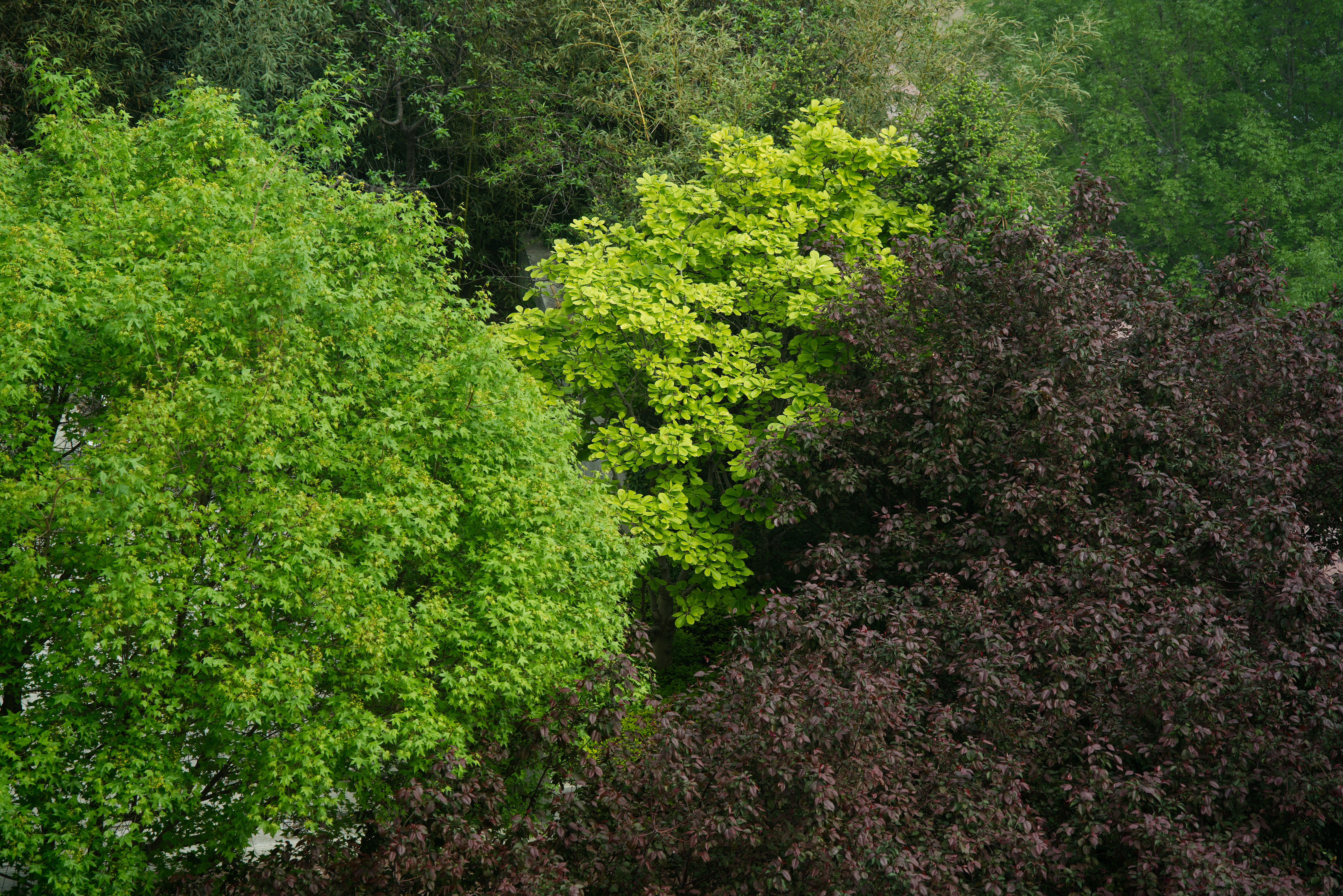 DSC04072