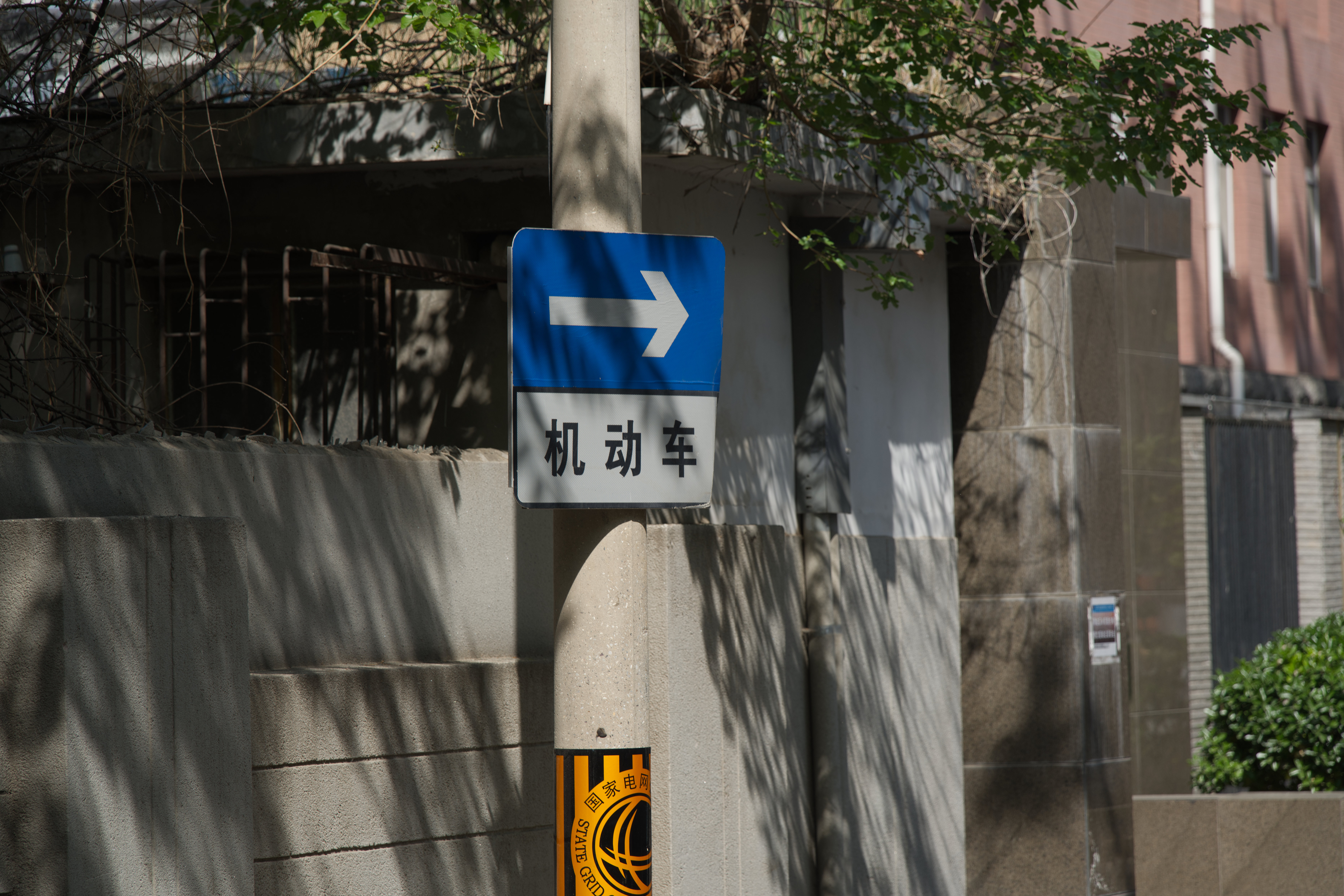 DSC04515