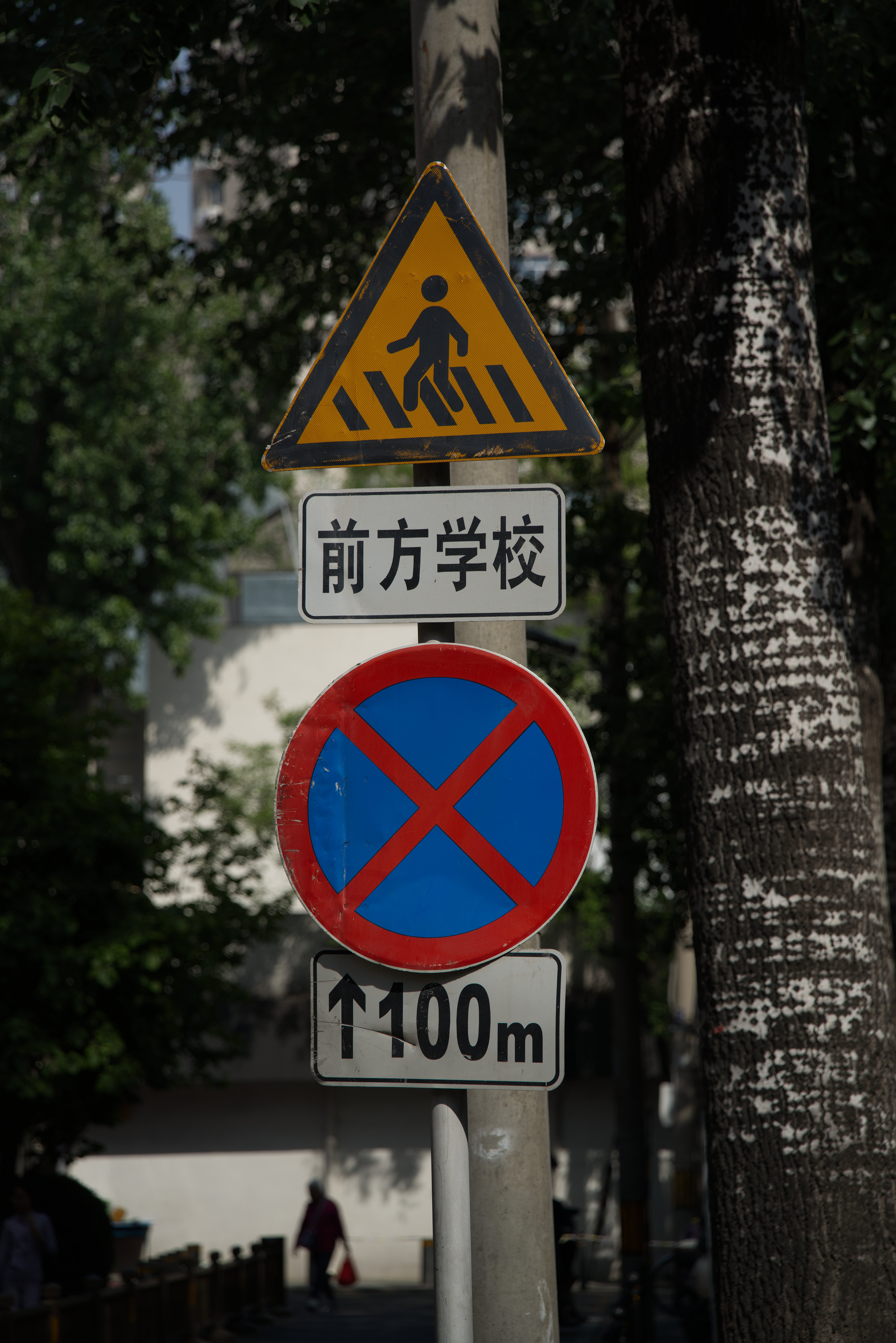 DSC04517