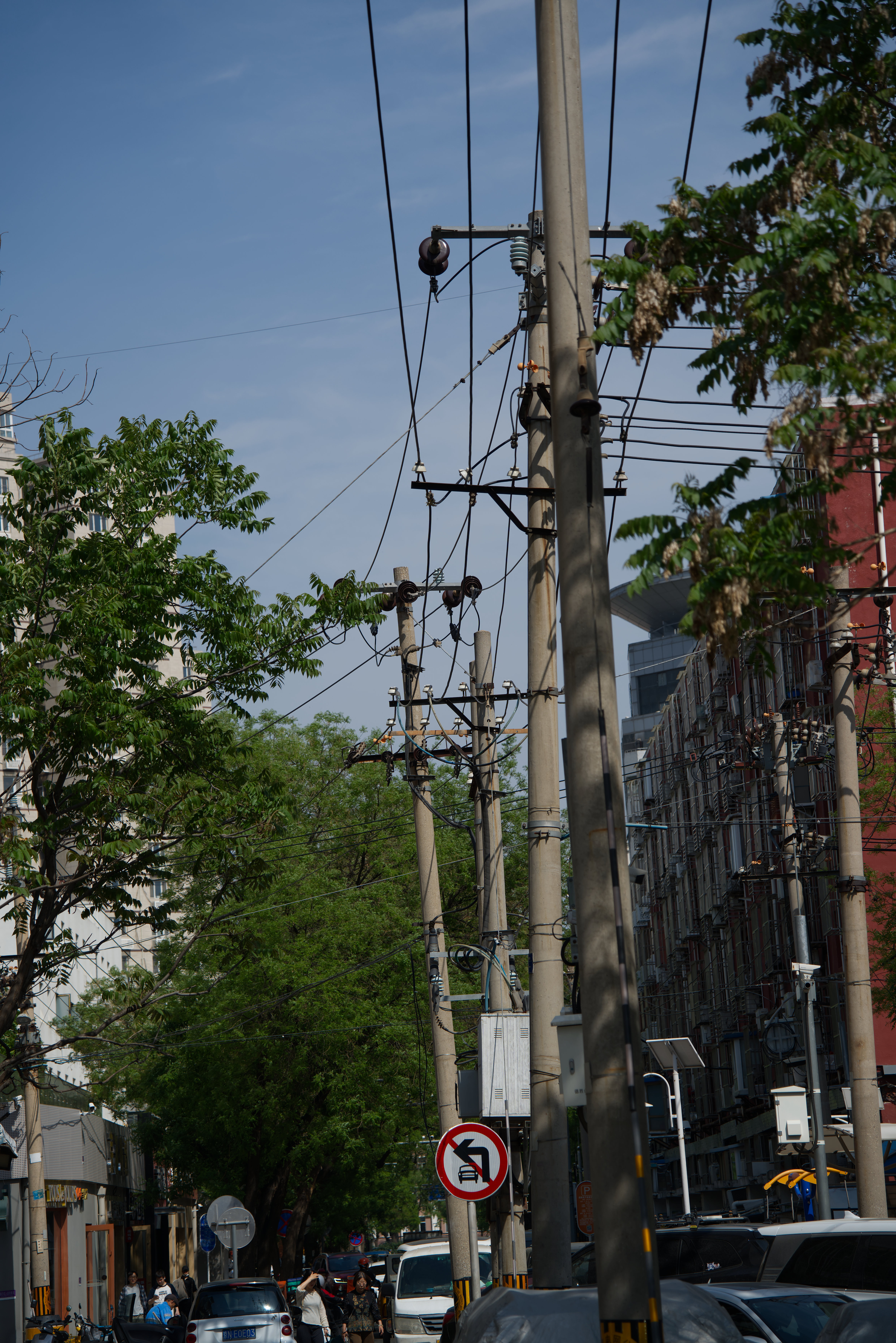 DSC04526