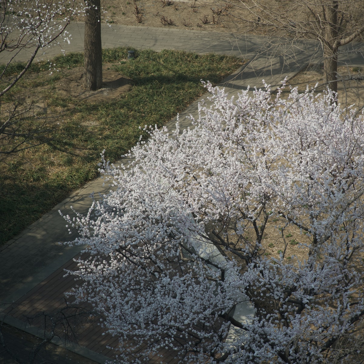 DSC03130