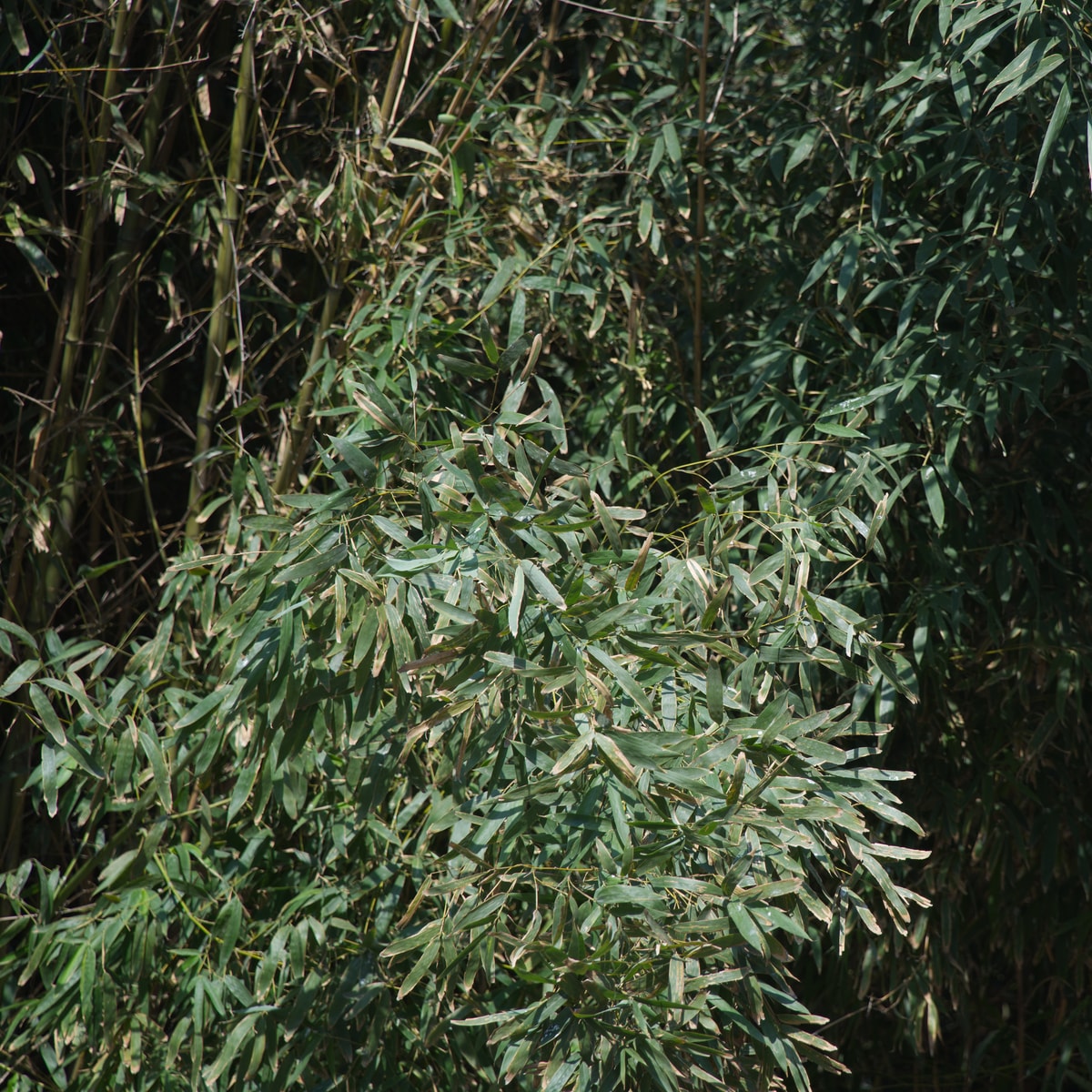 DSC03577