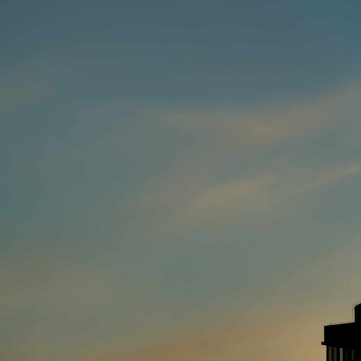 DSC03720