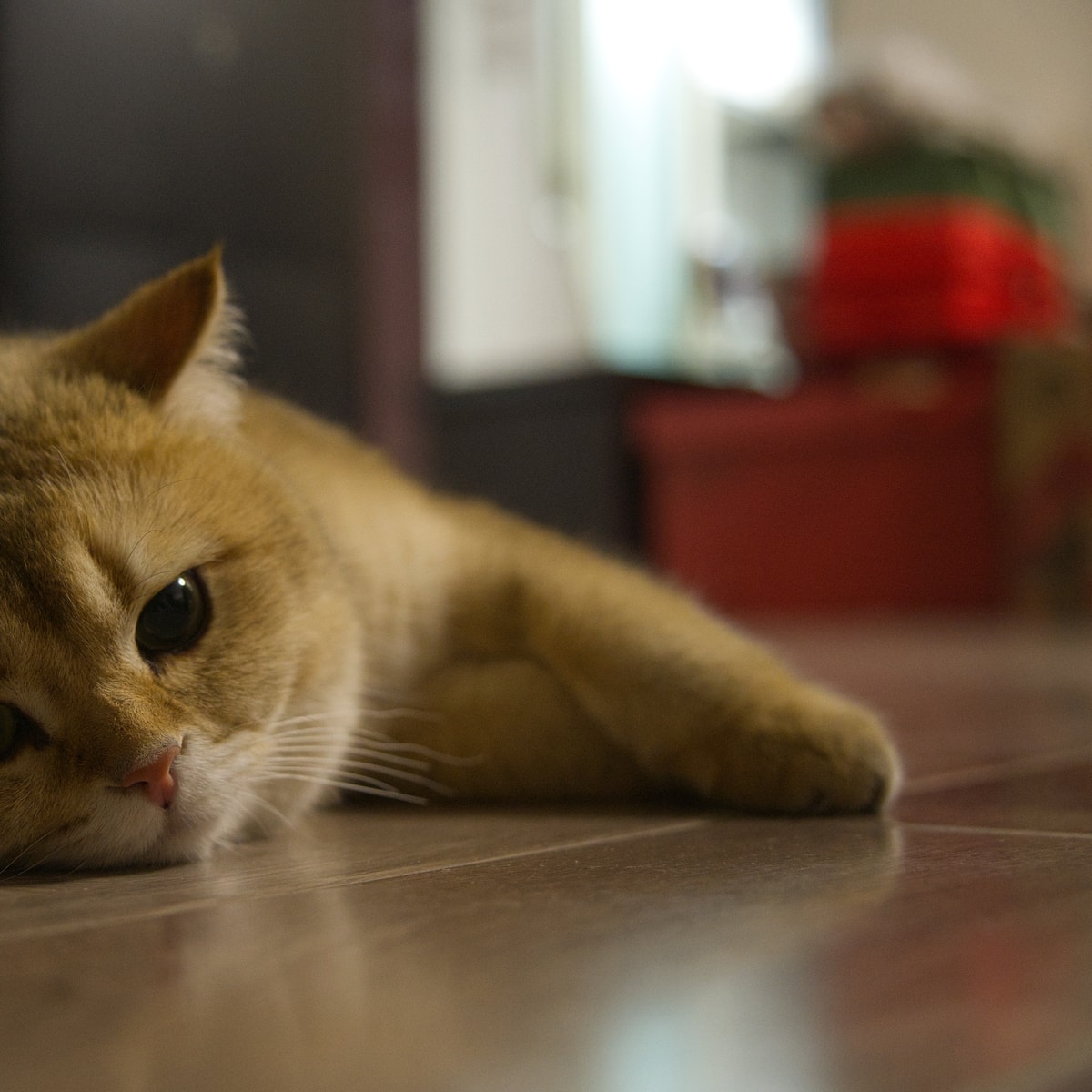 DSC04048