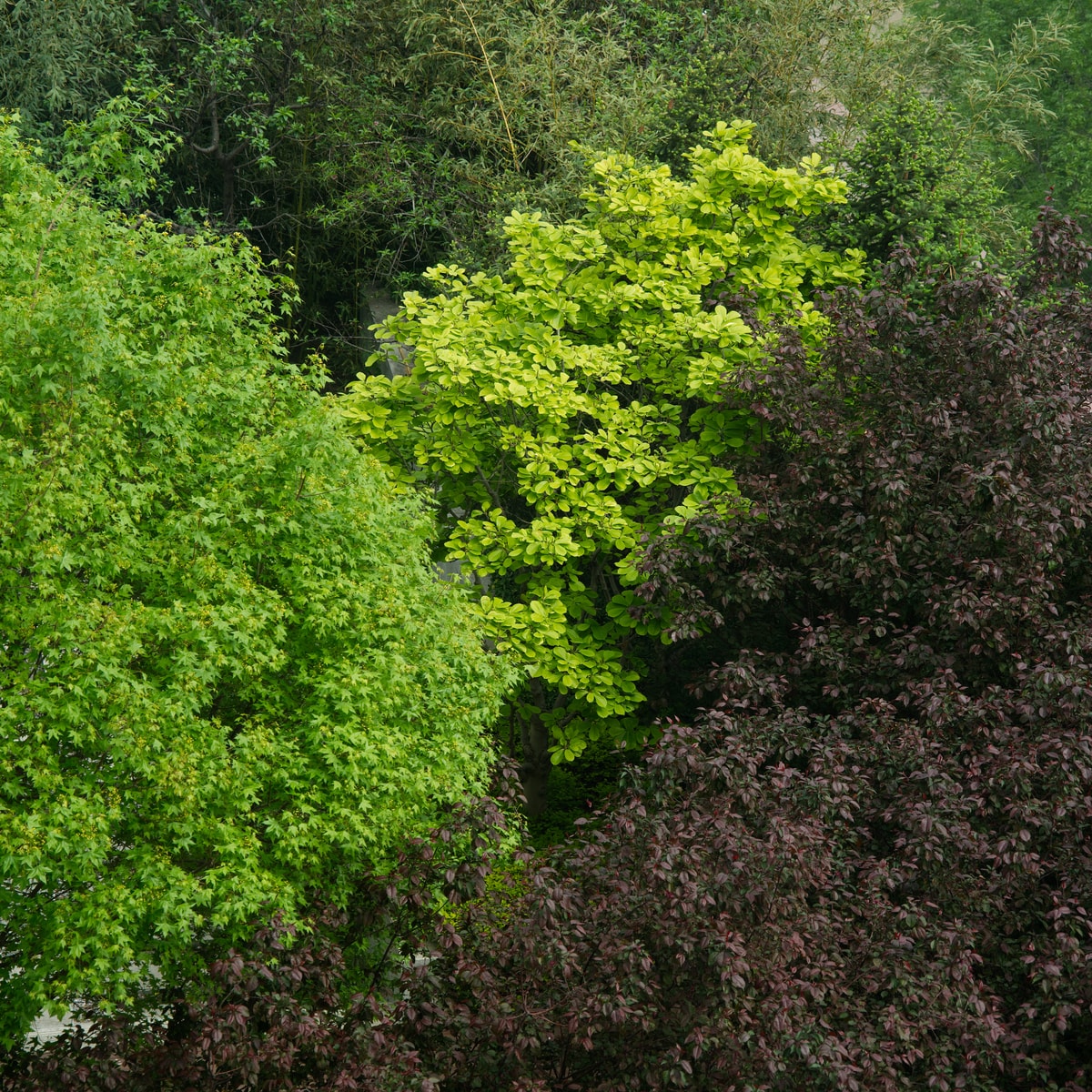 DSC04072