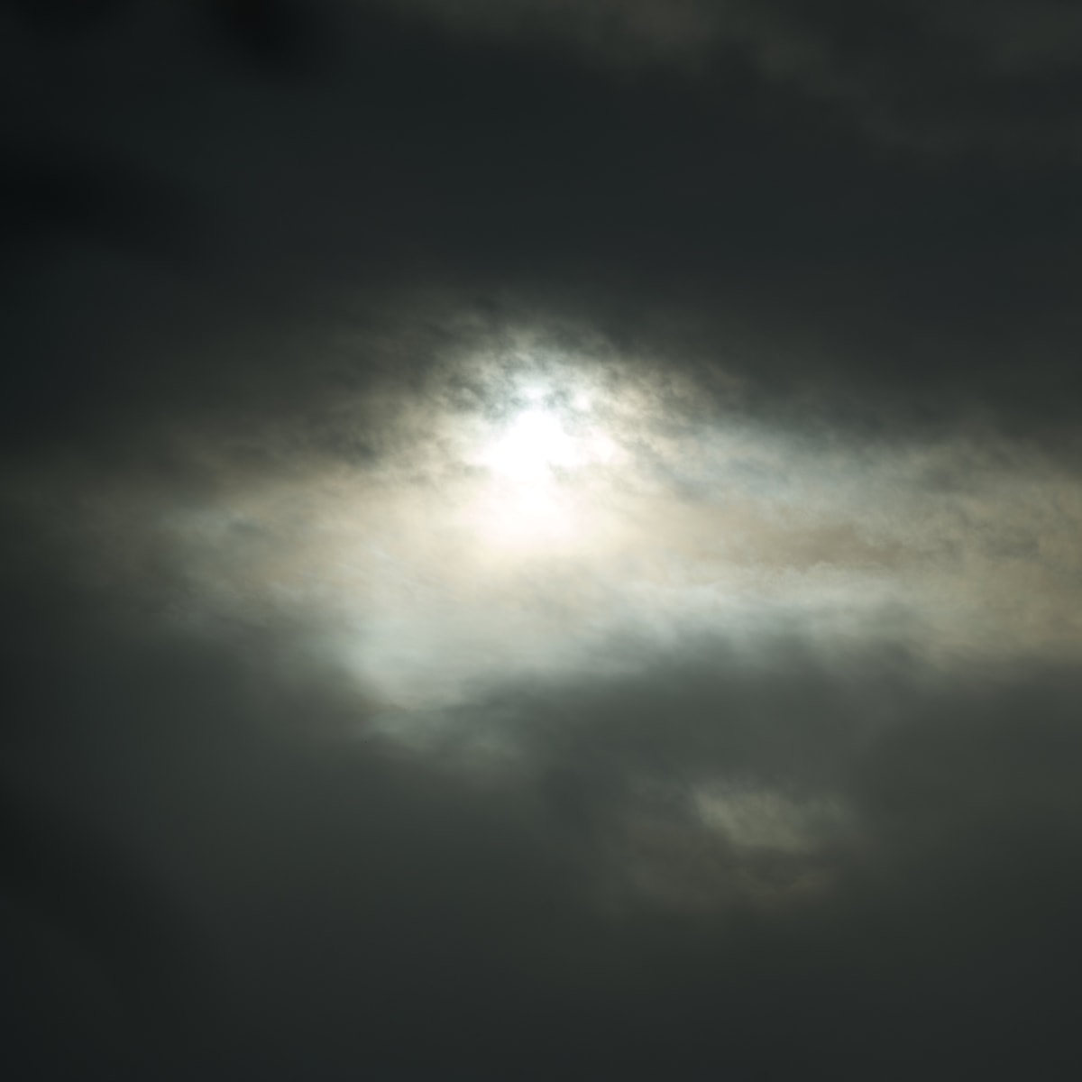 DSC04343