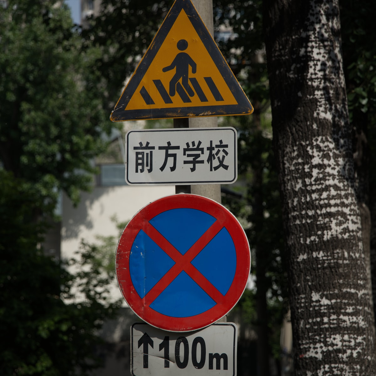 DSC04517