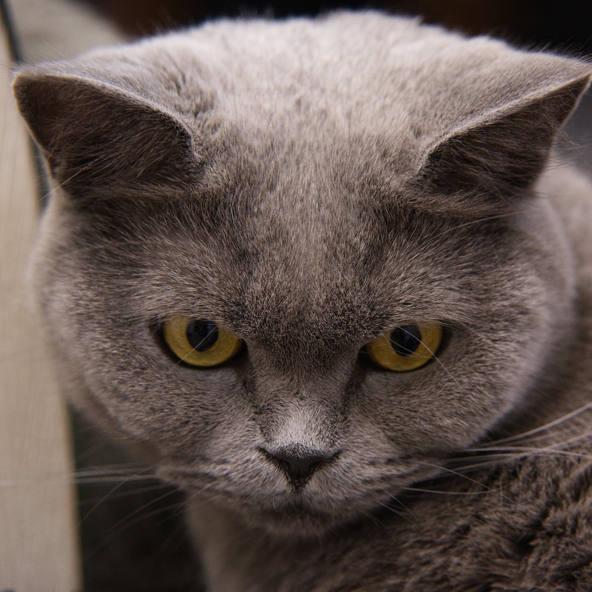 DSC04664