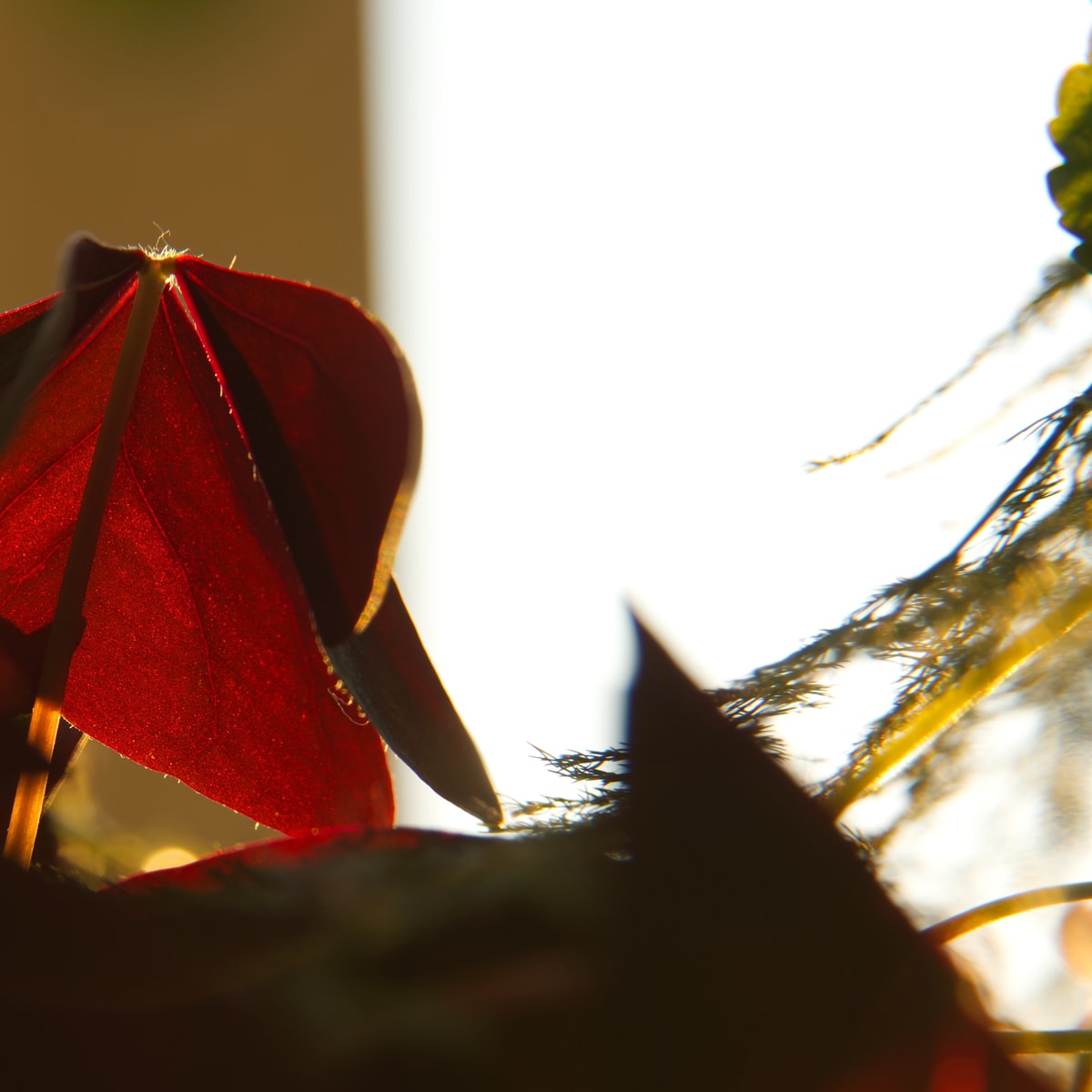 DSC05011