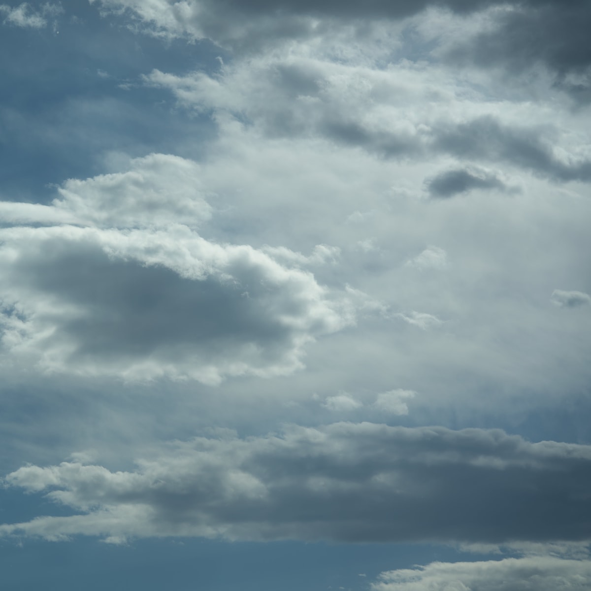 DSC05091