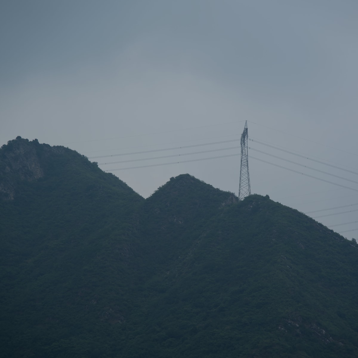 DSC05306