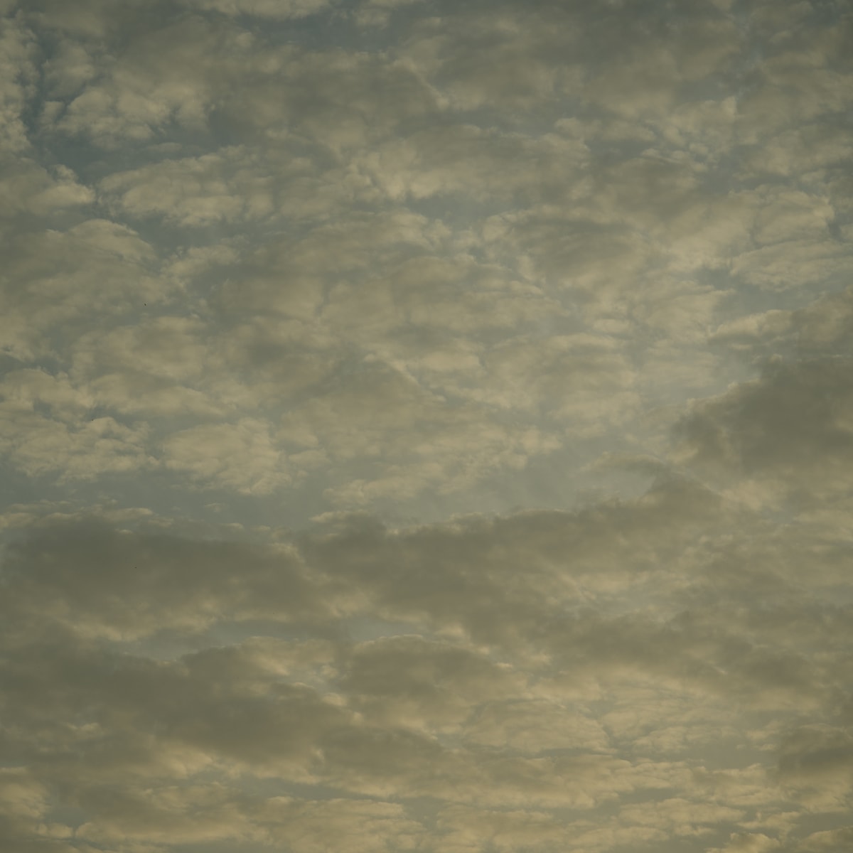 DSC05567