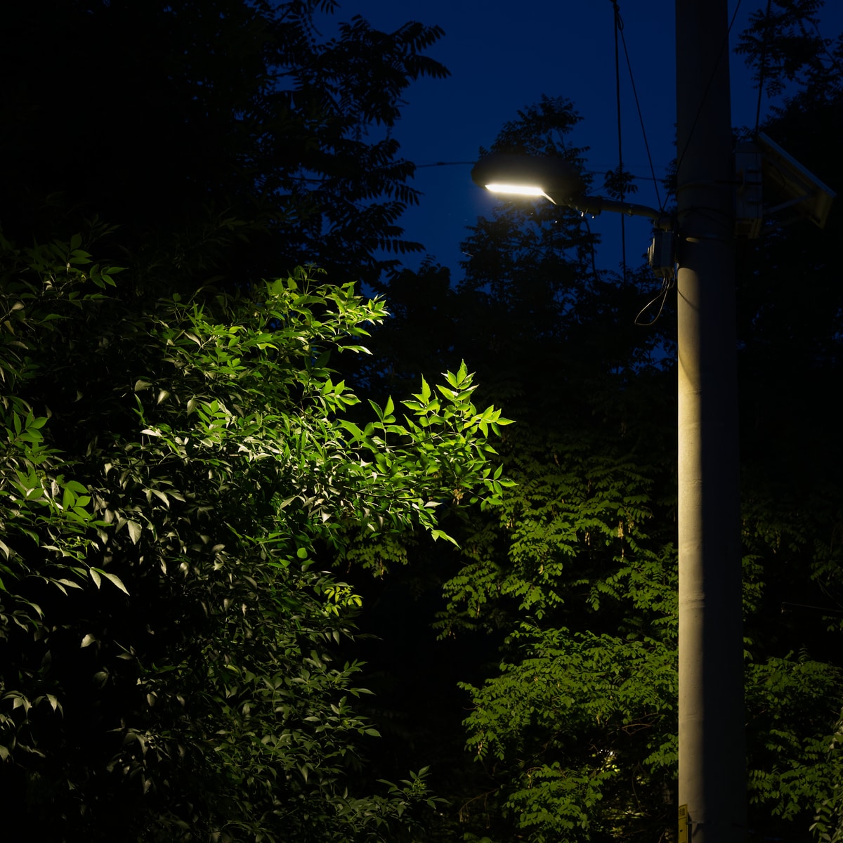 DSC05700