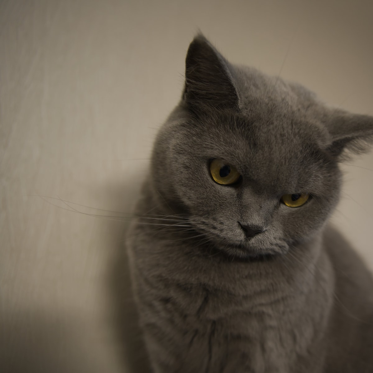 DSC05819