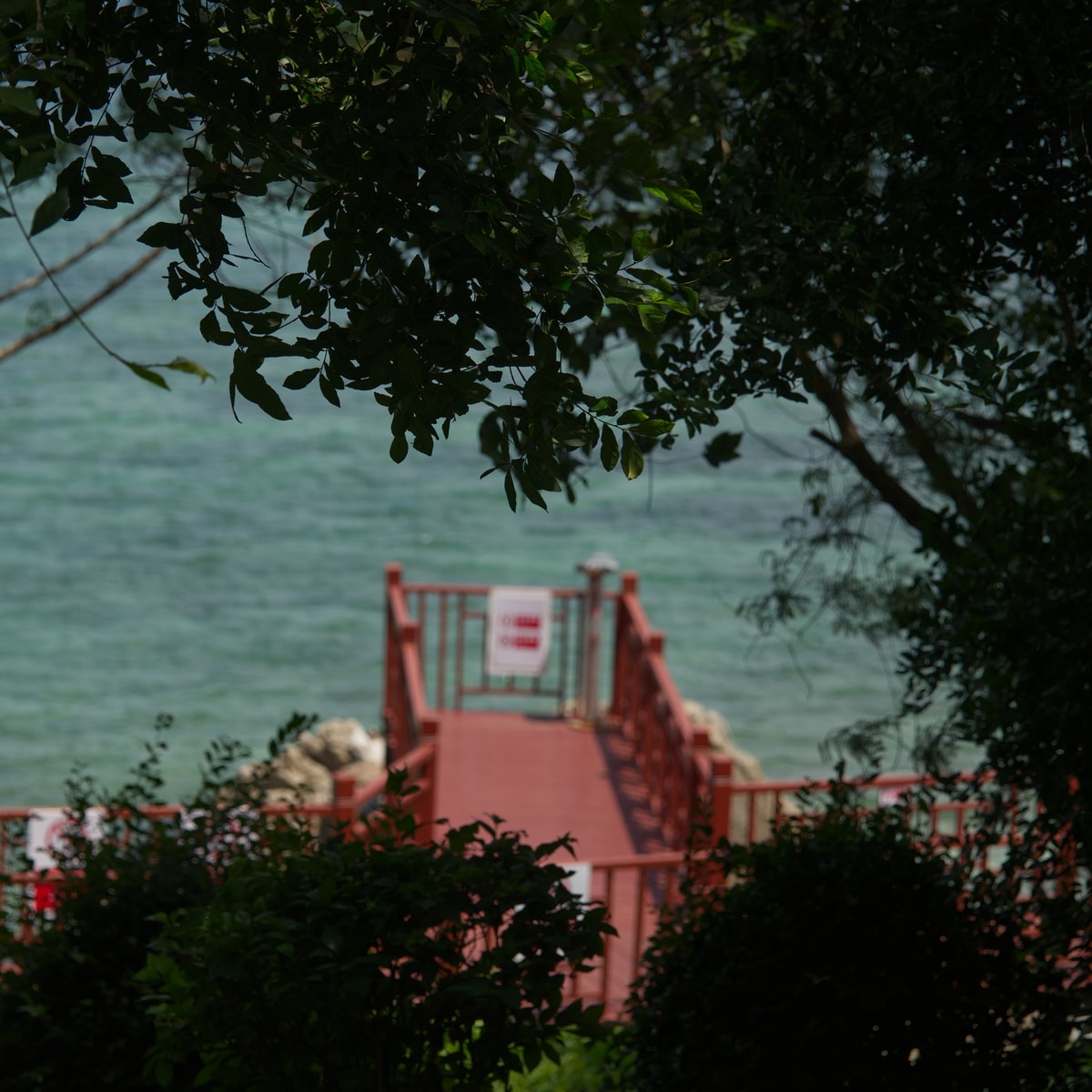 DSC06260