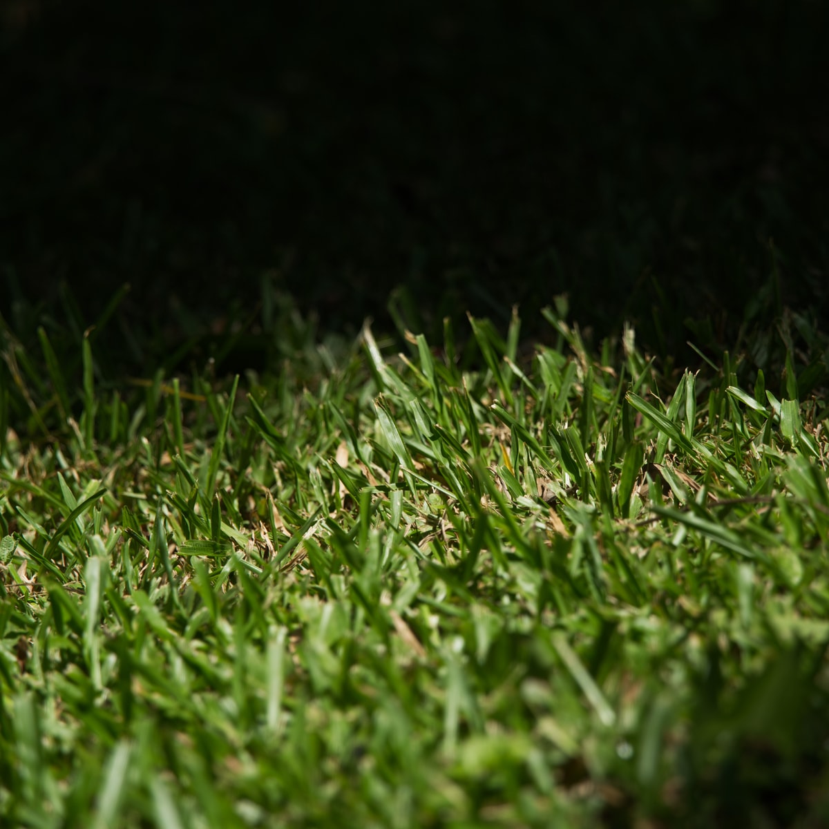 DSC06266