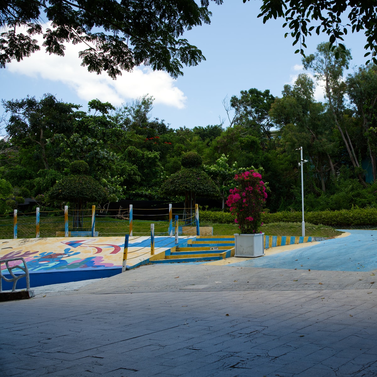 DSC06505
