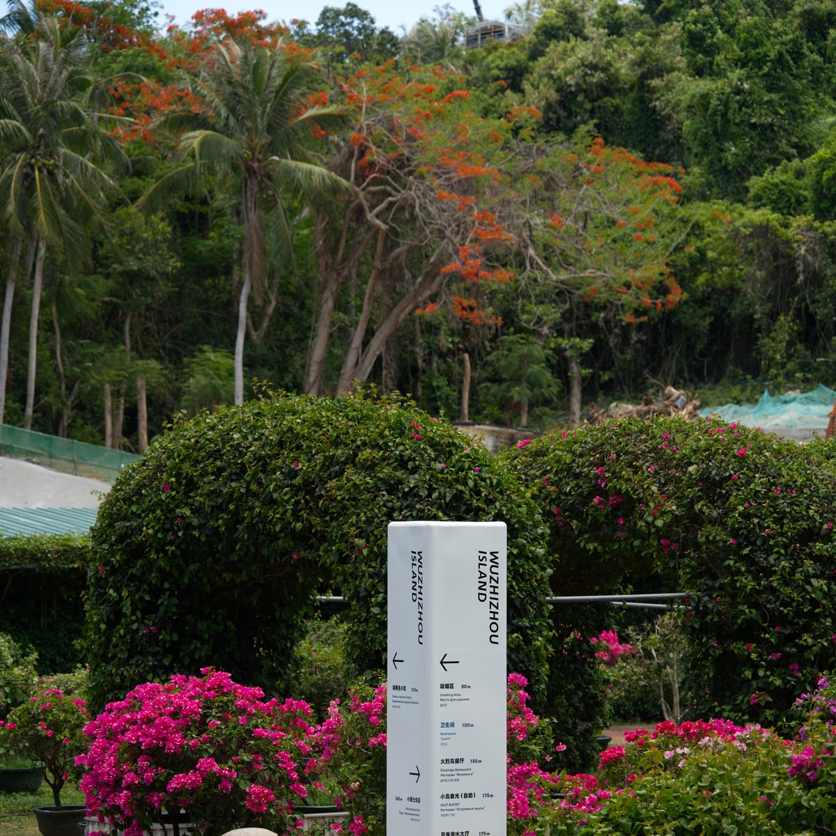DSC06530