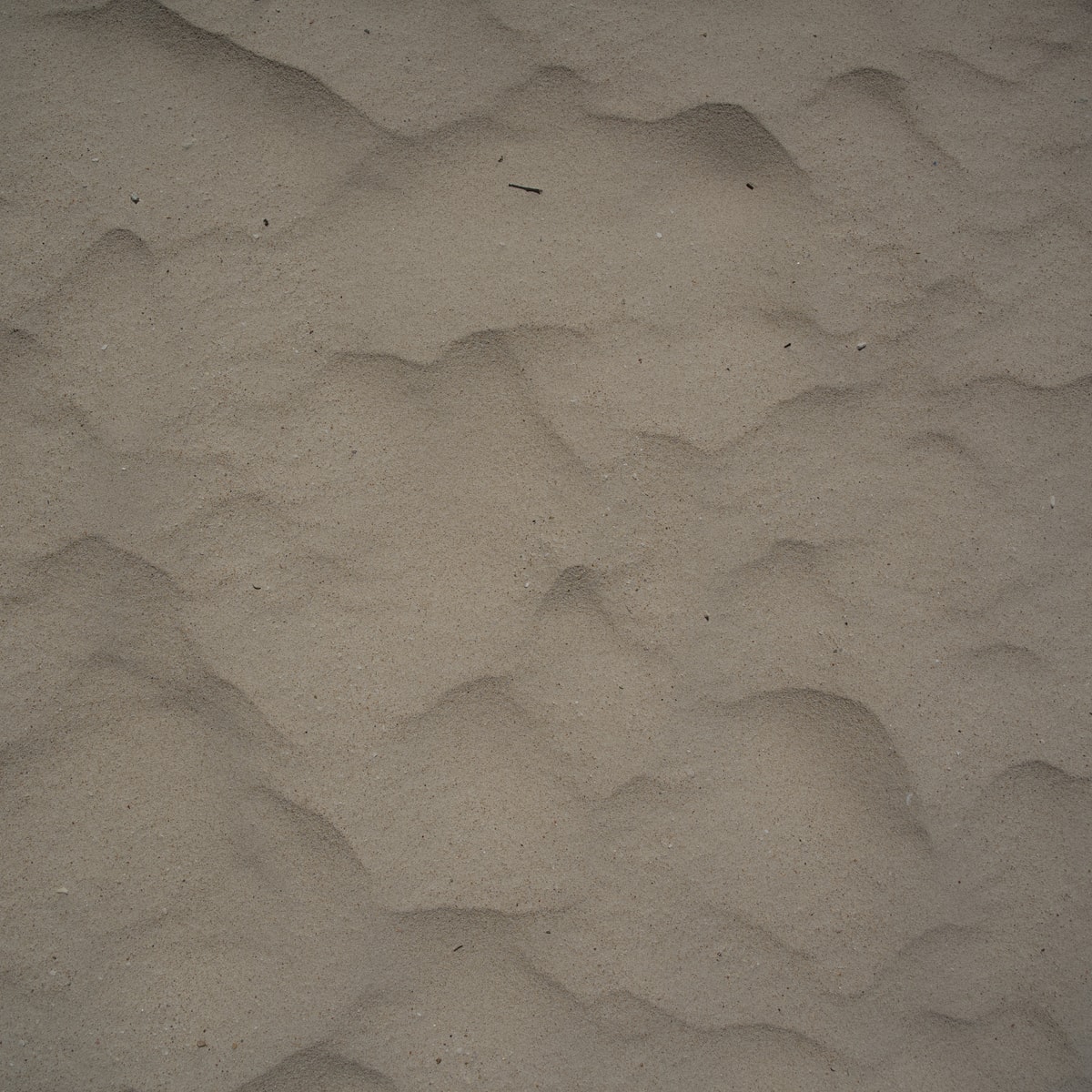 DSC06580