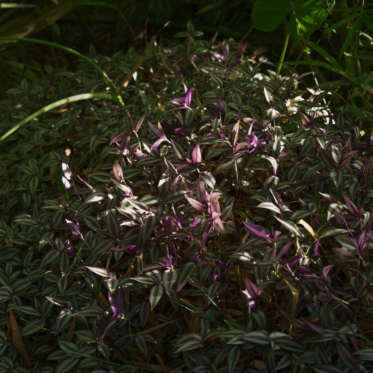 DSC07060