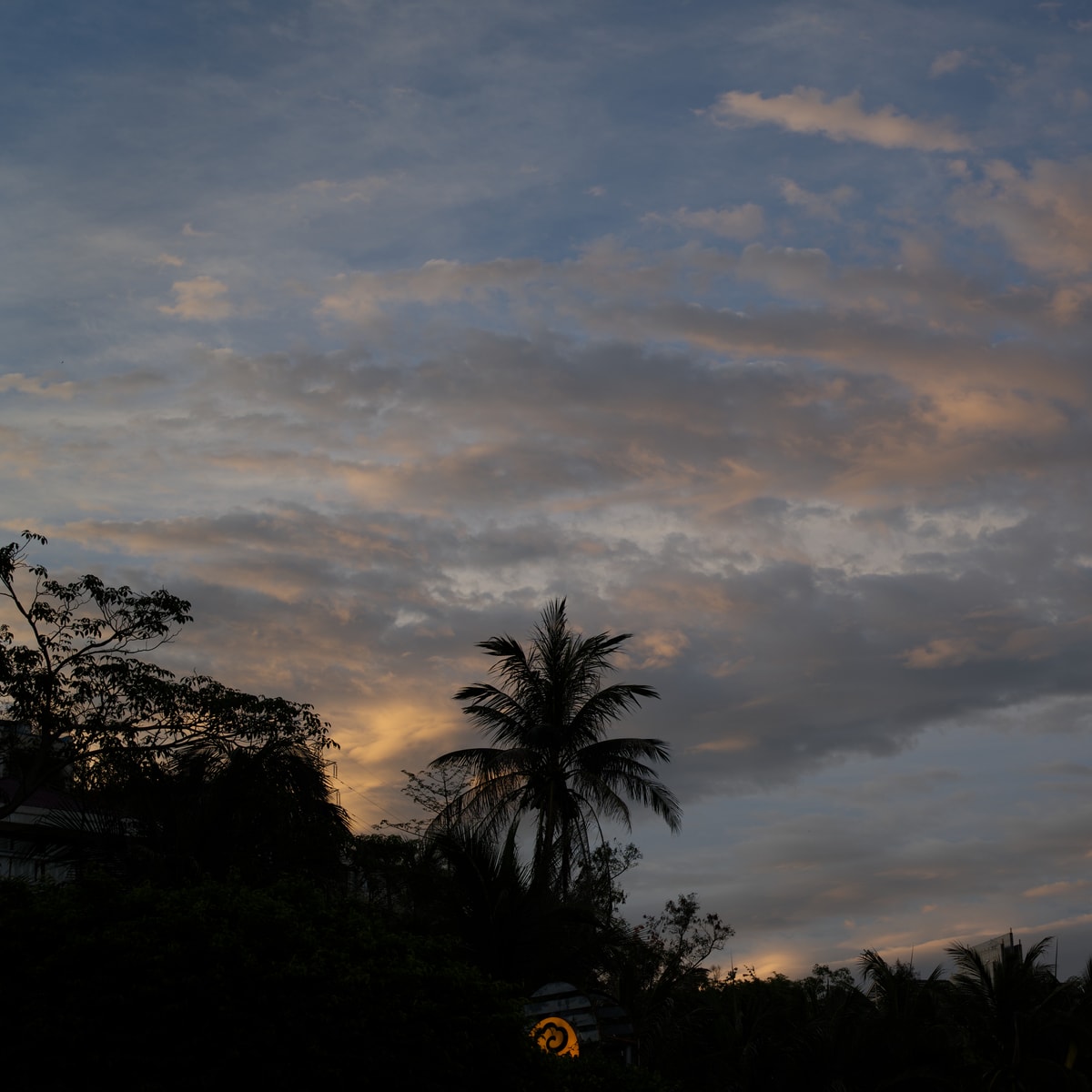 DSC07419