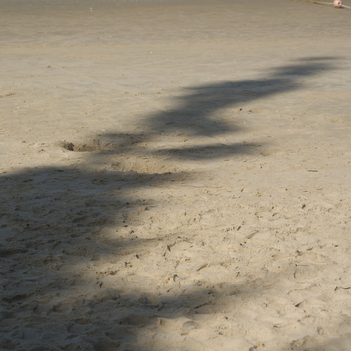 DSC07471