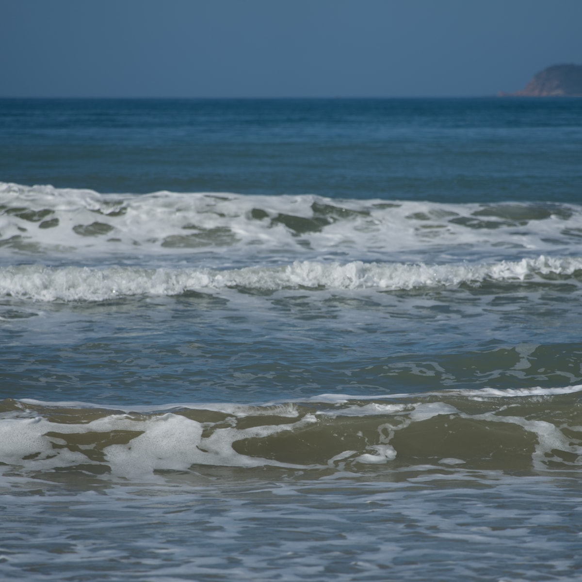 DSC07503