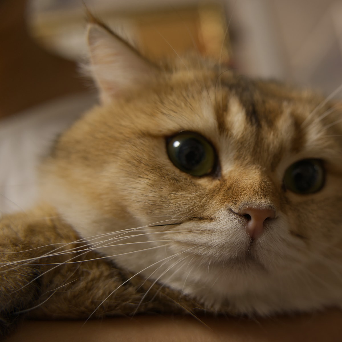 DSC07765
