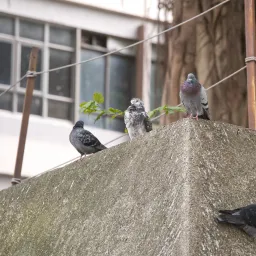DSC00407
