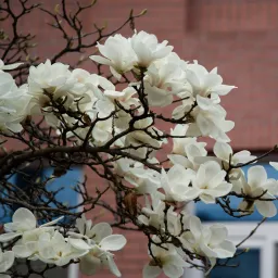 DSC03315