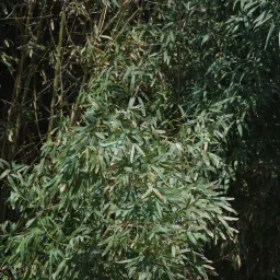 DSC03577
