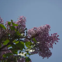 DSC03583