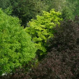 DSC04072