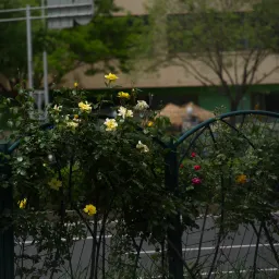 DSC04390