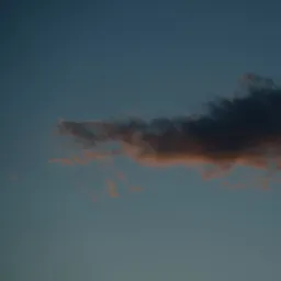 DSC04600