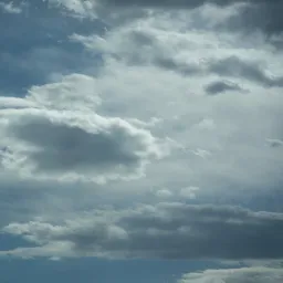 DSC05091