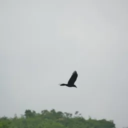 DSC05230