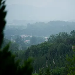 DSC05148