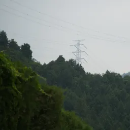 DSC05292