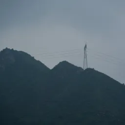 DSC05306