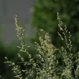 DSC05368