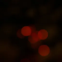 DSC05530