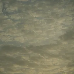 DSC05567