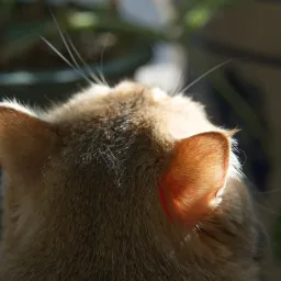 DSC05609